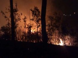 uttarakhand-forest-fire