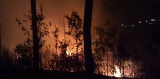 uttarakhand-forest-fire