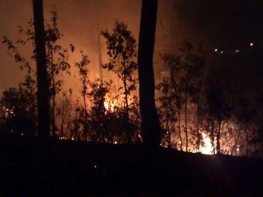 uttarakhand-forest-fire